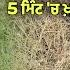 ਬ ਨ ਦਵ ਈ ਤ ਹਮ ਸ ਲਈ ਘ ਹ ਸ ੜਨ ਦ No 1 ਦ ਸ ਫ ਰਮ ਲ Best Herbicide Ghas Marne Ki Desi Dawa