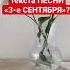 3 е сентября Шуфутинский песня кто автор текста Shorts