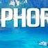 Euphoria Chillstep Mix 2024