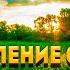 Пение Соловья На Закате Успокоит Нервную Систему И Погрузит Вас В Глубокий Сон Звуки Природы