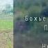 Обетования верны альбом авторских христианских песен Евангелия Теребилина