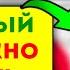 Старая Японка рассказала этот секрет что добавить в чай и почему соль яйца специи и даже