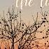 The Quiet Hours TREVOR KOWALSKI 1 Hour RELAXING Music