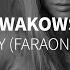 Nowakowski Remedy Faraon Remix DEEP ONE Radio Edit