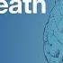 Determination Of Brain Death Death By Neurologic Criteria The World Brain Death Project