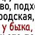 Как городская у быка взяла Сборник свежих анекдотов Юмор