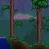 Пожалуй сегодня вечерком я нажрусь Shorts Terraria тераррия Memes
