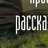 Аудиокнига Олег Гор Просветленные рассказывают сказки часть 1