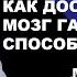 Как доставить в мозг ГАМК GABA Способ N1