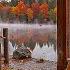 Cozy Cabin In The Autumn Forest Relax To The Sound Of Piano And A Warm Fireplace