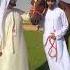 Fazza Shaikh Hamdan Fazza King Of Dubai Fazza Official Page Public FazzaNewEnglish Translationpoem