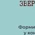 Е В Смирницкая Германский звериный стиль Лекция 5 16 12 2020