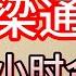 老梁故事會 老梁通史 16个小时合集 老梁故事会 梁宏达 老夏杂谈