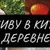 Жизнь русской в китайской деревне Необычная местная еда и поход на рынок