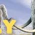 Woolly Mammoths For Kids Learn All About This Furry Animal And Its Existence During The Ice Ages