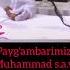 Payg Ambarimiz Muhammad S A V Muborak Sochlari Shoes Shortsviral Viralata