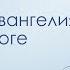 Вечернее чтение 25 Кевин Деянг Десять заповедей