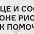 СЕРДЦЕ И СОСУДЫ В ЗОНЕ РИСКА КАК ПОМОЧЬ