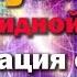 Стимуляция шишковидной железы и активация функции эпифиза и нервной системы головного мозга