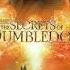 Fantastic Beasts The Secrets Of Dumbledore Soundtrack The Promise James Newton Howard