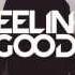 Avicii Feeling Good HQ Audio