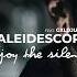 CALEIDESCOPE Feat GXLDJUNGE Enjoy The Silence Official Caleidescope Version