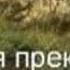 Пишутся прекрасные пейзажи пение