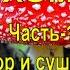 Мухоморы Часть 1 сбор и сушка
