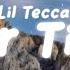 Lil Tecca Our Time Clean Lyrics