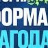 507 Год Реформации 2 Часть Прямой Эфир Виктор Томев Сергей Журавлев