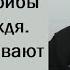 Язычество лезет как грибы после дождя Люди призывают бесов Иерей Константин Корепанов