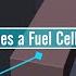 How Does A Hydrogen Fuel Cell Work What Is Hydrogen Fuel Cell Hydrogencell Explain