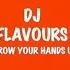 DJ Flavours Throw Your Hands Up