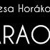 BIJAV Vanesa Horakova KARAOKE