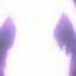 Anime Mix Animals AMV