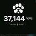 Paws Https T Me PAWSOG Bot PAWS Startapp TvPDK7gA