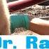 Dr Rachael Rebel Vet Episode 12 Outer Body Uterus