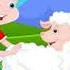 Mary Had A Little Lamb The Green Orbs