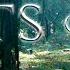 Vol 2 Jeremy Soule Skyrim In The Forests Of Tamriel Redux Extended 1 Hr