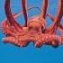 Осьминог самый странный гений океана животные Octopus Ocean океан осьминог