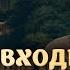 Красота главное качество Кришны Как нам увидеть его проявления Кришна входит в Матхуру часть 1