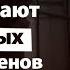 Полицейский произвол Обращение бизнесмена Максютова
