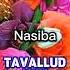 NASIBA TAVALLUD KUN MUBORAK