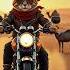 The Cat Is Riding A Bike Riding Cat Shortvideo Trending Viralshorts Shortfeed