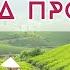 Книга про чай Окакура Какудзо Книга повністю Аудіокниги українською мовою