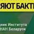 Микробиота человека история о том как нами управляют бактерии