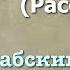 Сура 113 аль Фаляг арабские и русские титры Мухаммад Люхайдан