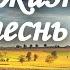 Здесь жизнь моя есть песнь хвалы Возрождение Песнь Возрождения 135