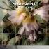 Mind Against Jericho Jarel Gomes Piano