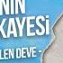 Hz Salih As Peygamber Ve Semud Kavminin İnanılmaz Hikayesi Devenin Katledilmesi Mehmedyildiz